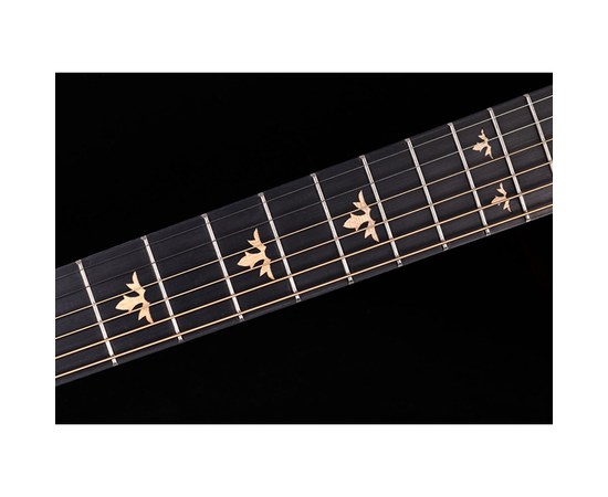Акустическая гитара Caesar WL-820-RD-W, изображение 4