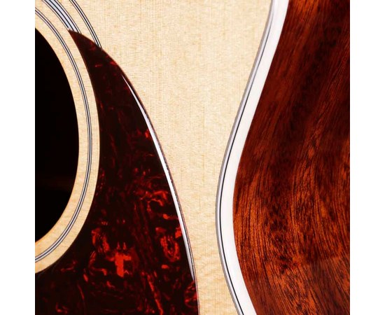 Акустическая гитара TYMA TG-15, изображение 10