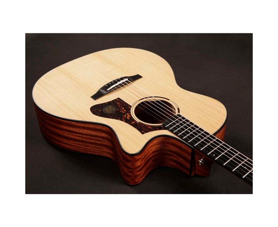 Акустическая гитара TYMA TG-2, изображение 5