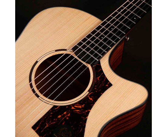 Акустическая гитара TYMA TG-2, изображение 6