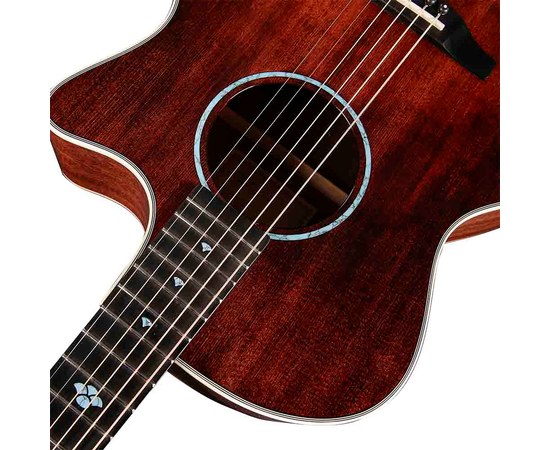 Акустическая гитара TYMA TG-5 BRS, изображение 3