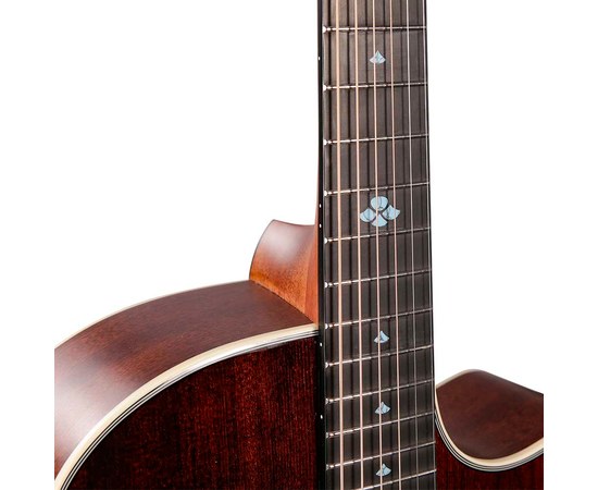 Акустическая гитара TYMA TG-5 BRS, изображение 10