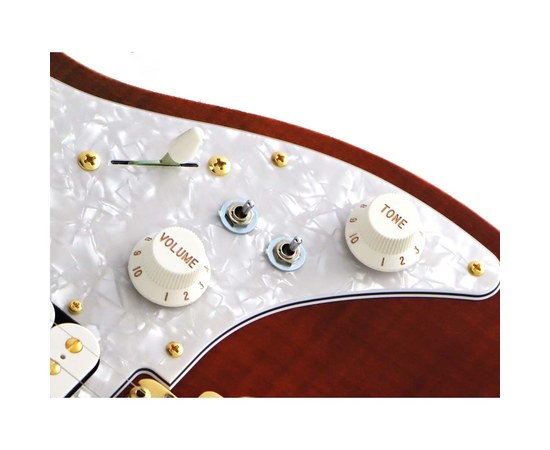 Электрогитара FGN Expert Odyssey EOS2-FM-R Ripe Kaki Gradation, изображение 4