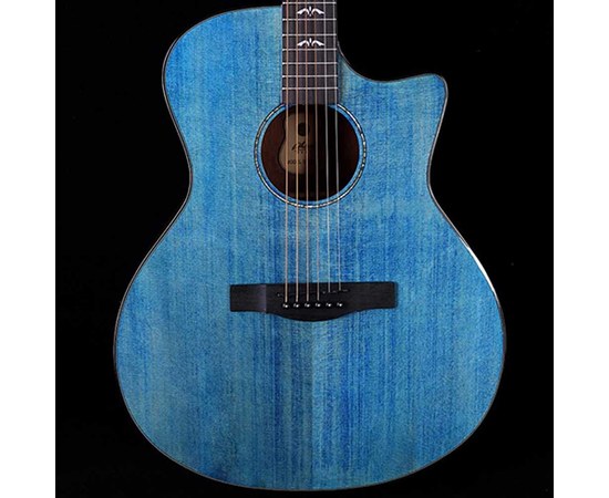 Акустическая гитара Alston DS-40G/BL, изображение 2