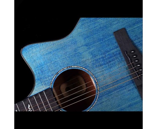 Акустическая гитара Alston DS-40G/BL, изображение 4