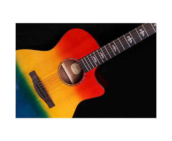 Акустическая гитара Alston DS-40G/CR, изображение 7