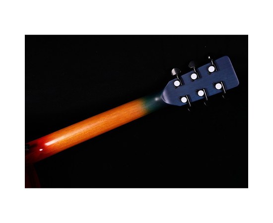 Акустическая гитара Alston DS-40G/CR, изображение 8