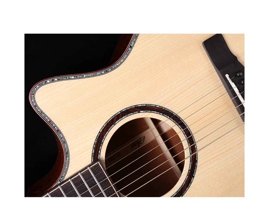 Акустическая гитара Alston DS-80D, изображение 3