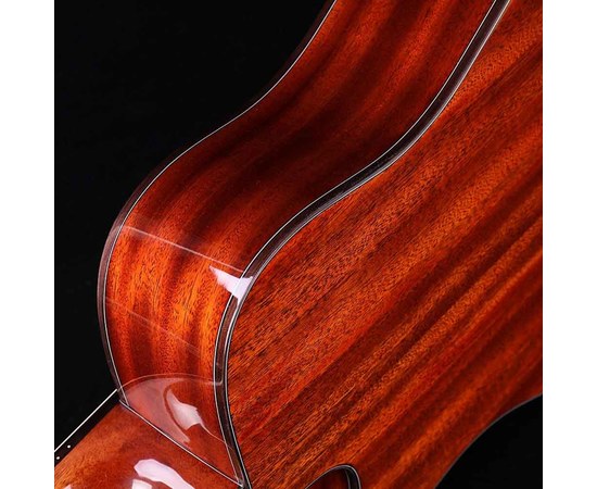 Акустическая гитара Alston DS-80D, изображение 5