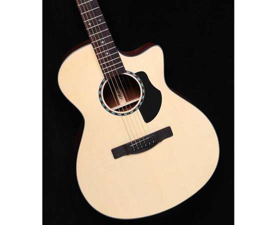 Акустическая гитара Alston SP15G/N, изображение 2