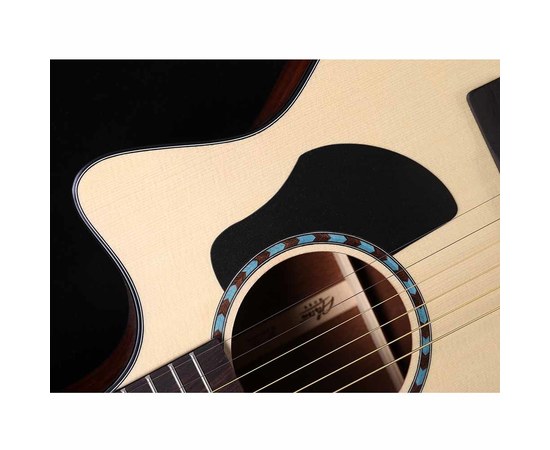 Акустическая гитара Alston SP15G/N, изображение 4