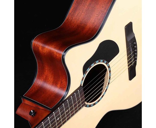 Акустическая гитара Alston SP15G/N, изображение 5