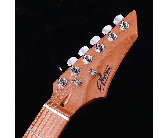 Электрогитара Alston AS-100BL, изображение 6