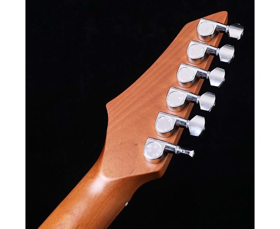 Электрогитара Alston AS-100BL, изображение 7