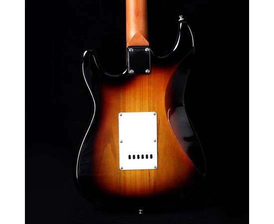 Электрогитара Alston AS-100BS, изображение 3