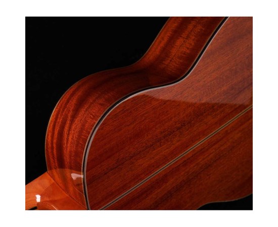 Классическая гитара Alston AG-230 Handcraft, изображение 4