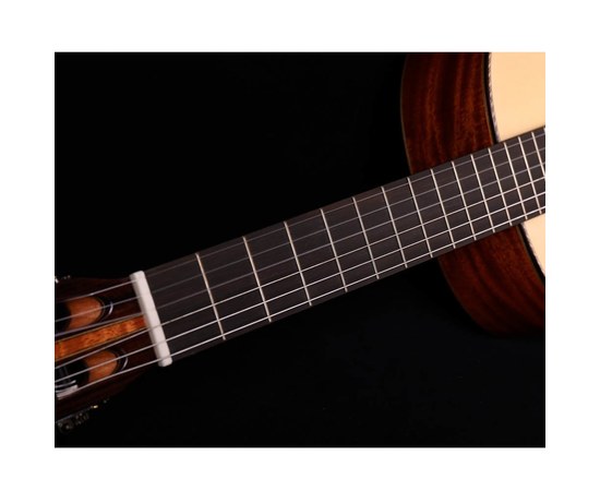 Классическая гитара Alston AG-230 Handcraft, изображение 5