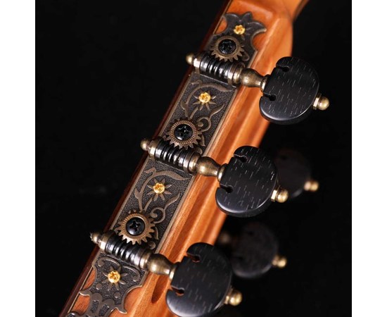 Классическая гитара Alston AG-230 Handcraft, изображение 7
