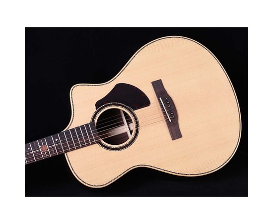 Трансакустическая гитара Alston AK-700G/S1-PRO, изображение 2