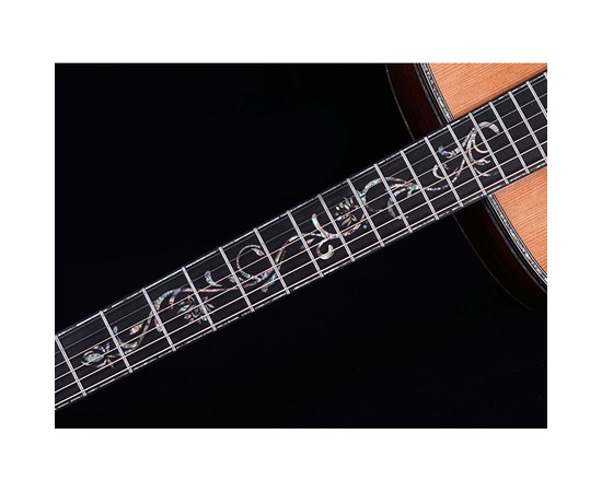 Трансакустическая гитара Alston AK-750/S1-PRO, изображение 8