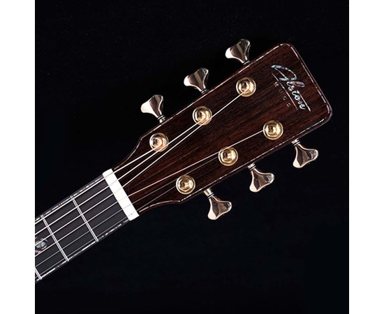 Трансакустическая гитара Alston AK-750/S1-PRO, изображение 10