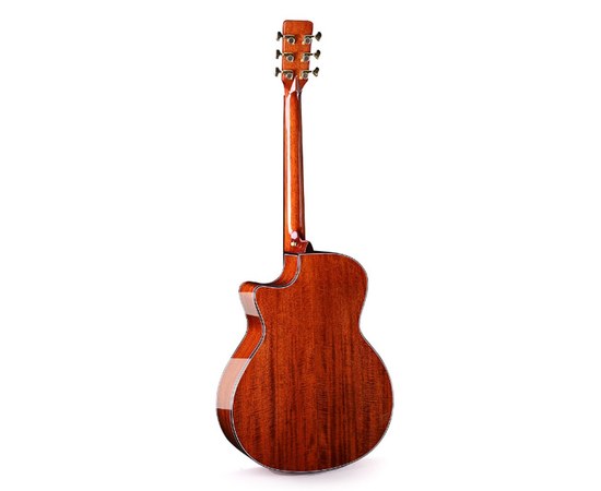 Трансакустическая гитара Alston DW-230G.S1-PRO, изображение 2
