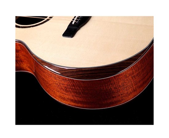 Трансакустическая гитара Alston DW-230G.S1-PRO, изображение 5