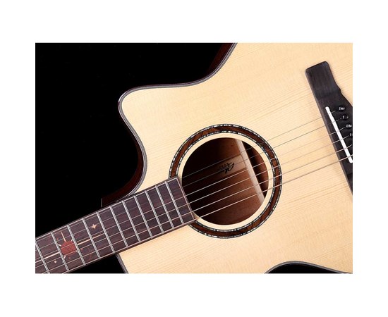 Трансакустическая гитара Alston DW-230G.S1-PRO, изображение 6