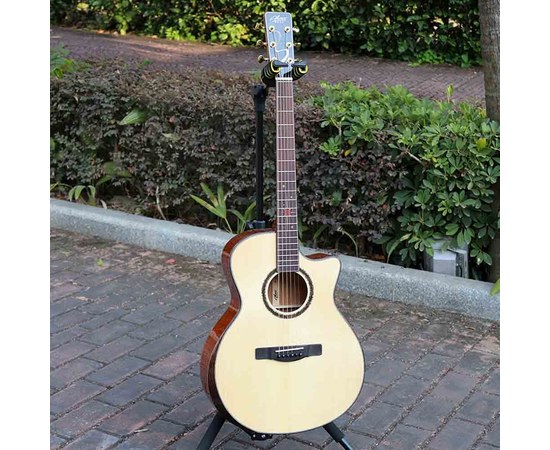Трансакустическая гитара Alston DW-230G.S1-PRO, изображение 12