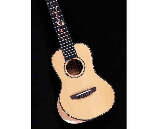 Укулеле концерт Alston UD-800, изображение 4