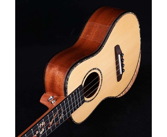 Укулеле концерт Alston UD-800, изображение 6