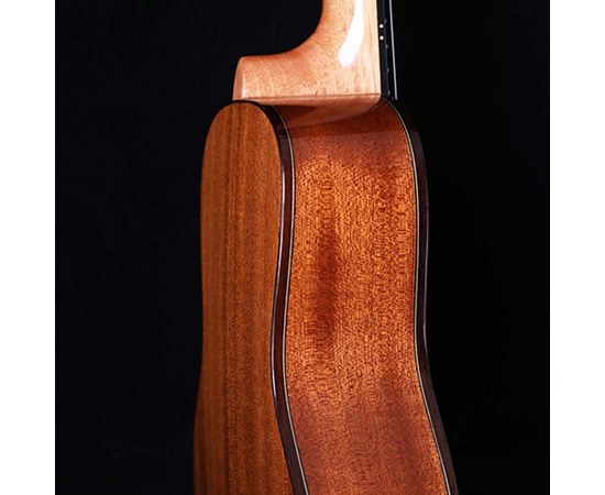 Укулеле концерт Alston UD-800, изображение 9