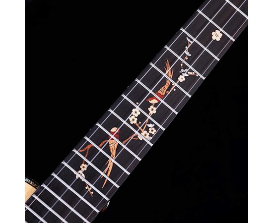 Укулеле концерт Alston UD-800, изображение 10