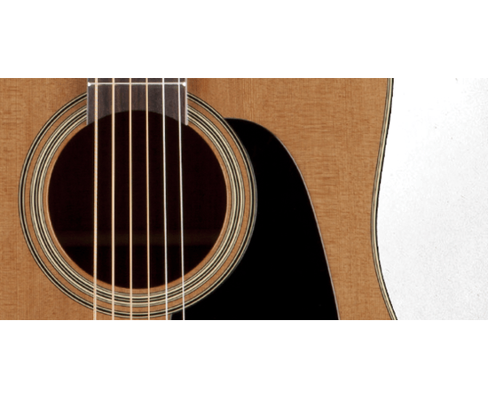 Электроакустическая гитара Takamine P1DC, изображение 4