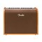 Комбоусилитель для акустической гитары Fender Acoustic 100 230V EUR