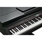 Цифровой рояль Kurzweil KAG100 EP, изображение 5