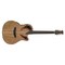 Электроакустическая гитара Ovation CE44P-SM Celebrity® Elite® Exotic Mid Depth Spalted Maple