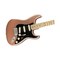 Электрогитара Fender American Performer Stratocaster® Maple Fingerboard Penny, изображение 3