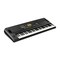 Синтезатор Korg Entertainer Keyboard EK-50