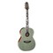 Электроакустическая гитара Takamine LTD2020 Peace