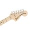 Электрогитара Fender 2020 Limited Edition Traditional 70s Tele® Deluxe Maple Fingerboard Seafoam Green, изображение 4
