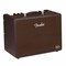 Комбоусилитель для акустической гитары Fender Acoustic Junior GO, 230V EU, изображение 3