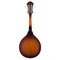 Мандолина Fender PM-180E Aged Cognac Burst, изображение 2