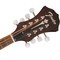 Мандолина Fender PM-180E Aged Cognac Burst, изображение 4