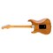Электрогитара Fender American Professional II Stratocaster® Roasted Pine, изображение 2