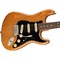 Электрогитара Fender American Professional II Stratocaster® Roasted Pine, изображение 3