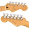 Электрогитара Fender Player Plus Stratocaster® Tequila Sunrise, изображение 4
