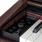 Цифровое пианино Gewa Digital Piano DP345 Rosewood, изображение 2