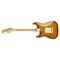 Электрогитара Fender American Performer Stratocaster® Honey Burst, изображение 2