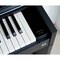 Цифровое пианино Casio Celviano AP-S450BKC7, изображение 5
